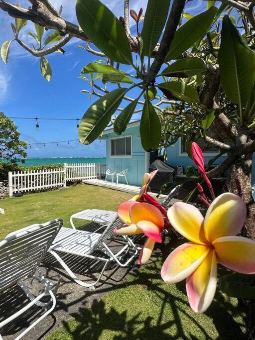 Moeʻuhane Kai Beach Front Home Hau'ula Eksteriør billede