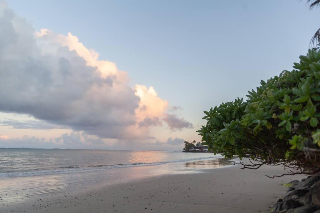 Moeʻuhane Kai Beach Front Home Hau'ula Eksteriør billede