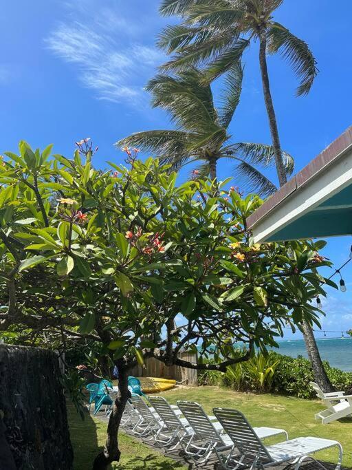 Moeʻuhane Kai Beach Front Home Hau'ula Eksteriør billede