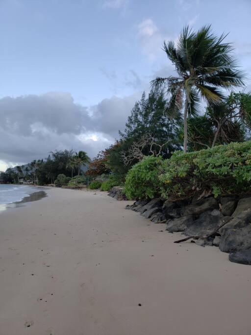 Moeʻuhane Kai Beach Front Home Hau'ula Eksteriør billede