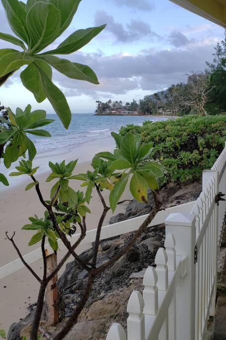 Moeʻuhane Kai Beach Front Home Hau'ula Eksteriør billede